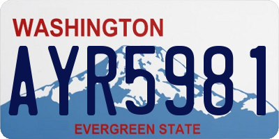 WA license plate AYR5981