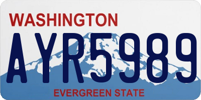 WA license plate AYR5989