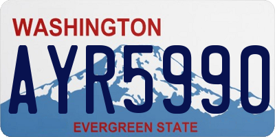 WA license plate AYR5990