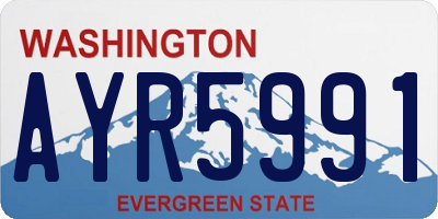 WA license plate AYR5991