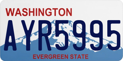 WA license plate AYR5995