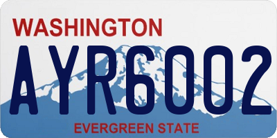 WA license plate AYR6002