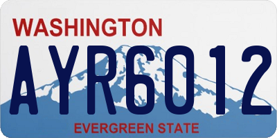 WA license plate AYR6012