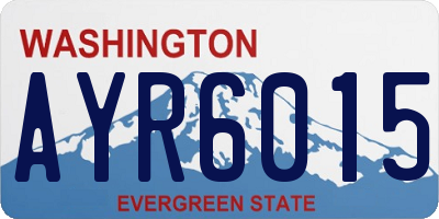 WA license plate AYR6015