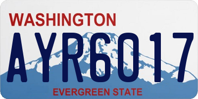 WA license plate AYR6017