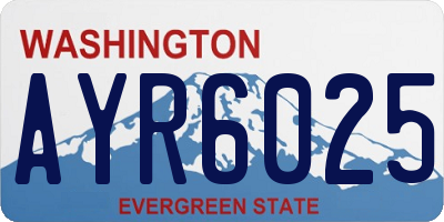 WA license plate AYR6025