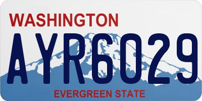 WA license plate AYR6029