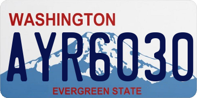 WA license plate AYR6030