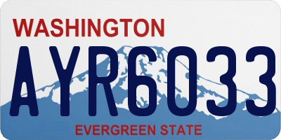 WA license plate AYR6033