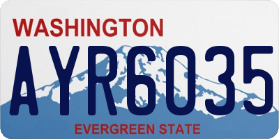 WA license plate AYR6035