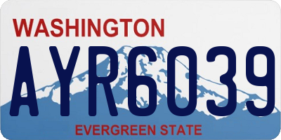 WA license plate AYR6039