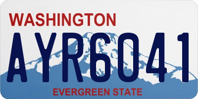 WA license plate AYR6041