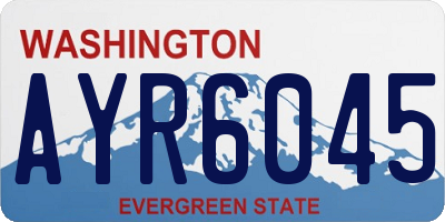 WA license plate AYR6045