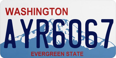 WA license plate AYR6067