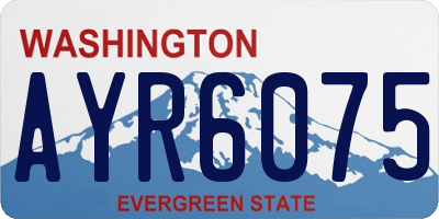 WA license plate AYR6075