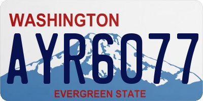 WA license plate AYR6077