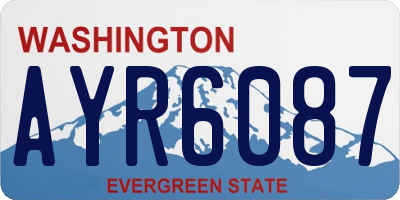 WA license plate AYR6087