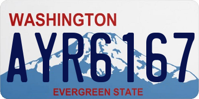 WA license plate AYR6167