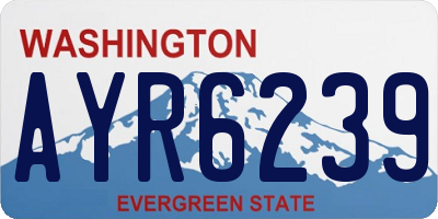 WA license plate AYR6239