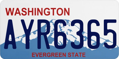 WA license plate AYR6365