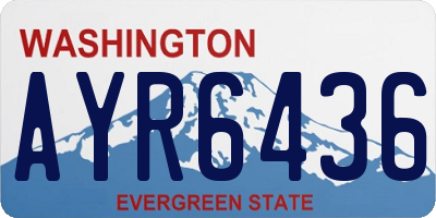WA license plate AYR6436