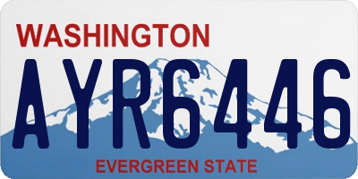 WA license plate AYR6446