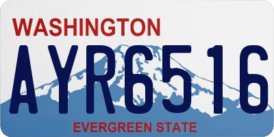 WA license plate AYR6516
