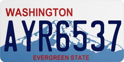 WA license plate AYR6537