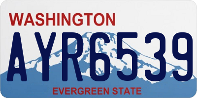 WA license plate AYR6539