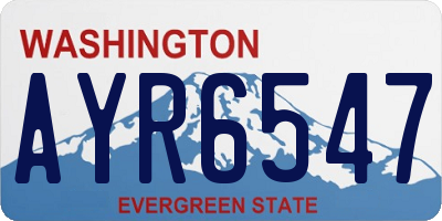 WA license plate AYR6547