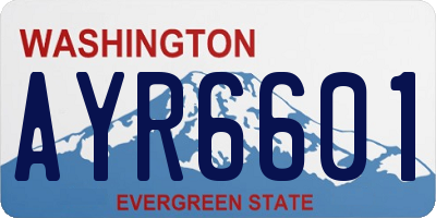 WA license plate AYR6601