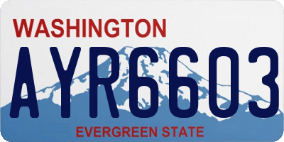 WA license plate AYR6603
