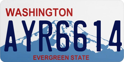 WA license plate AYR6614
