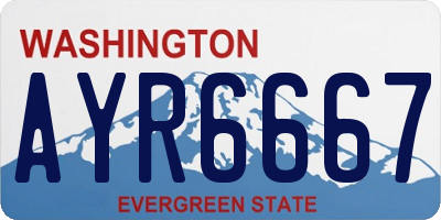 WA license plate AYR6667
