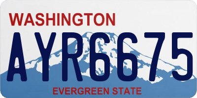 WA license plate AYR6675