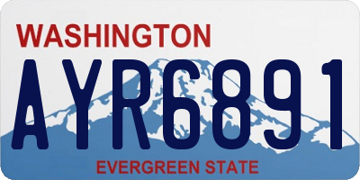 WA license plate AYR6891