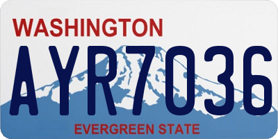 WA license plate AYR7036