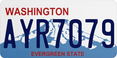 WA license plate AYR7079