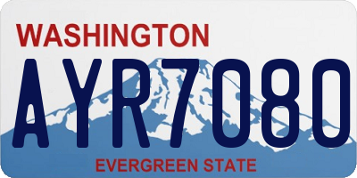 WA license plate AYR7080
