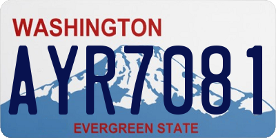 WA license plate AYR7081