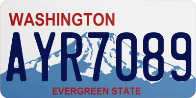 WA license plate AYR7089