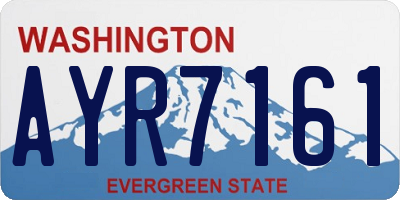 WA license plate AYR7161