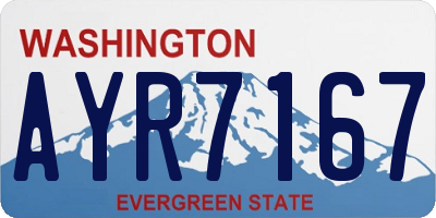 WA license plate AYR7167
