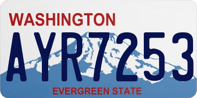 WA license plate AYR7253