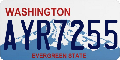 WA license plate AYR7255