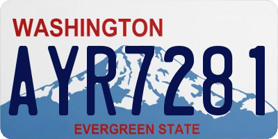 WA license plate AYR7281