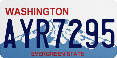 WA license plate AYR7295