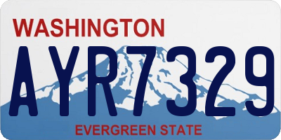WA license plate AYR7329