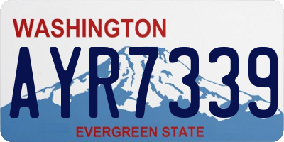 WA license plate AYR7339