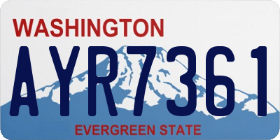 WA license plate AYR7361